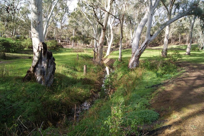 Photo - Lot 5 Speck Road, Cockatoo Valley SA 5351 - Image 14