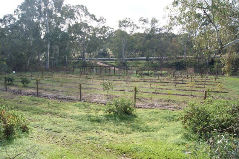 Photo - Lot 5 Speck Road, Cockatoo Valley SA 5351 - Image 17