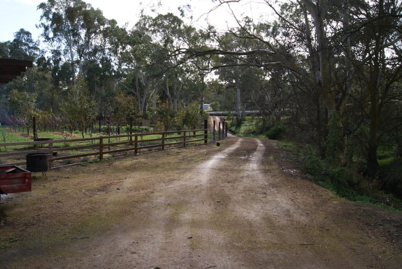 Photo - Lot 5 Speck Road, Cockatoo Valley SA 5351 - Image 18