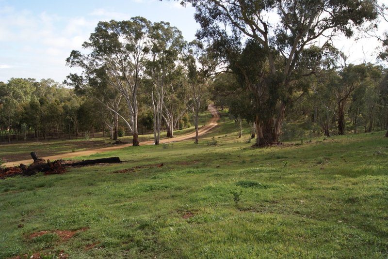 Photo - Lot 5 Speck Road, Cockatoo Valley SA 5351 - Image 20