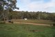 Photo - Lot 5 Speck Road, Cockatoo Valley SA 5351 - Image 21