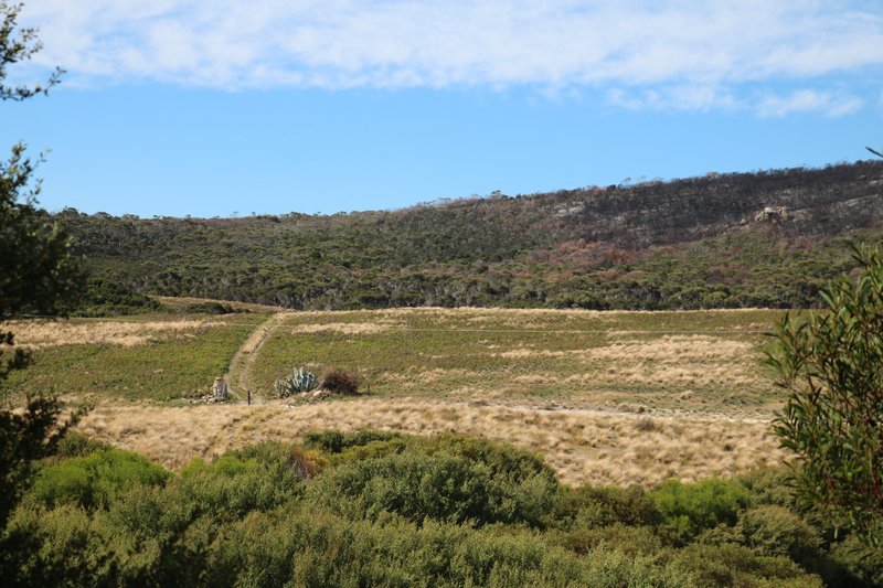 Photo - Lot 5 West End Road, Leeka TAS 7255 - Image 10