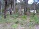 Photo - LOT 50 Bracknell Cres , Denmark WA 6333 - Image 1