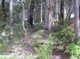 Photo - LOT 50 Bracknell Cres , Denmark WA 6333 - Image 4