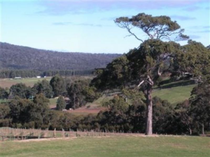 Photo - LOT 50 Bracknell Cres , Denmark WA 6333 - Image 5