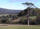 Photo - LOT 50 Bracknell Cres , Denmark WA 6333 - Image 5