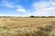 Photo - Lot 50 Bray Road, Port Victoria SA 5573 - Image 15