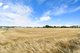 Photo - Lot 50 Bray Road, Port Victoria SA 5573 - Image 16