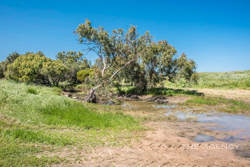 Photo - Lot 50 Byne Park Road, Bootenal WA 6532 - Image 33