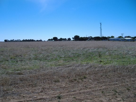 Photo - Lot 50 Grainstack Road, Stansbury SA 5582 - Image 2