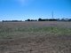 Photo - Lot 50 Grainstack Road, Stansbury SA 5582 - Image 2