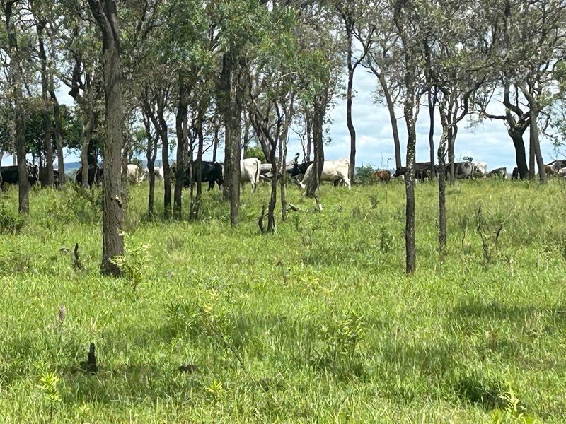 Photo - Lot 50 Rosenberger Road, Wyreema QLD 4352 - Image 2