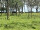 Photo - Lot 50 Rosenberger Road, Wyreema QLD 4352 - Image 2