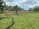 Photo - Lot 50 Rosenberger Road, Wyreema QLD 4352 - Image 4