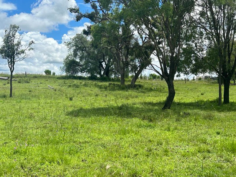 Photo - Lot 50 Rosenberger Road, Wyreema QLD 4352 - Image 6