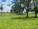 Photo - Lot 50 Rosenberger Road, Wyreema QLD 4352 - Image 6