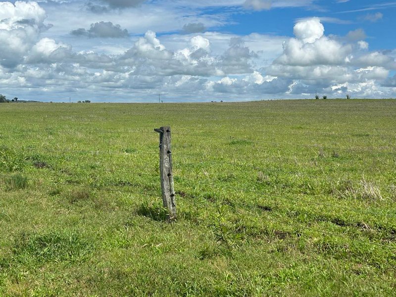 Photo - Lot 50 Rosenberger Road, Wyreema QLD 4352 - Image 7