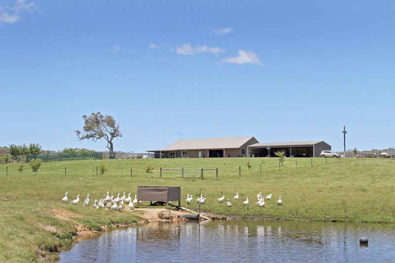 Photo - Lot 500 Roberts Road, Denmark WA 6333 - Image 6