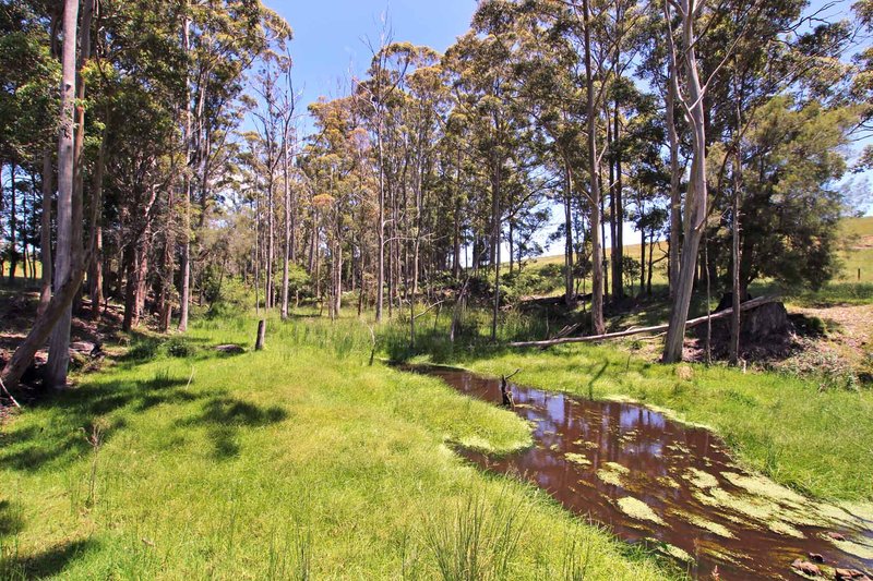 Photo - Lot 500 Roberts Road, Denmark WA 6333 - Image 7