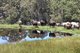 Photo - Lot 500 Roberts Road, Denmark WA 6333 - Image 8