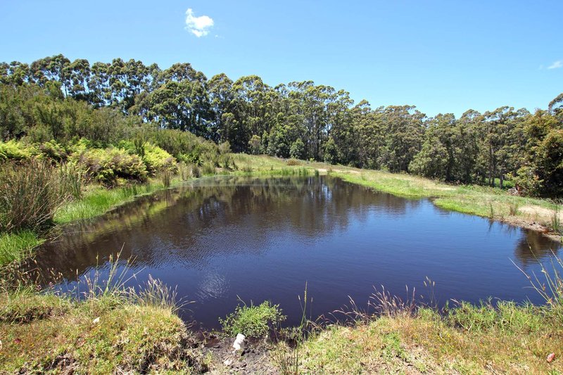 Photo - Lot 500 Roberts Road, Denmark WA 6333 - Image 9