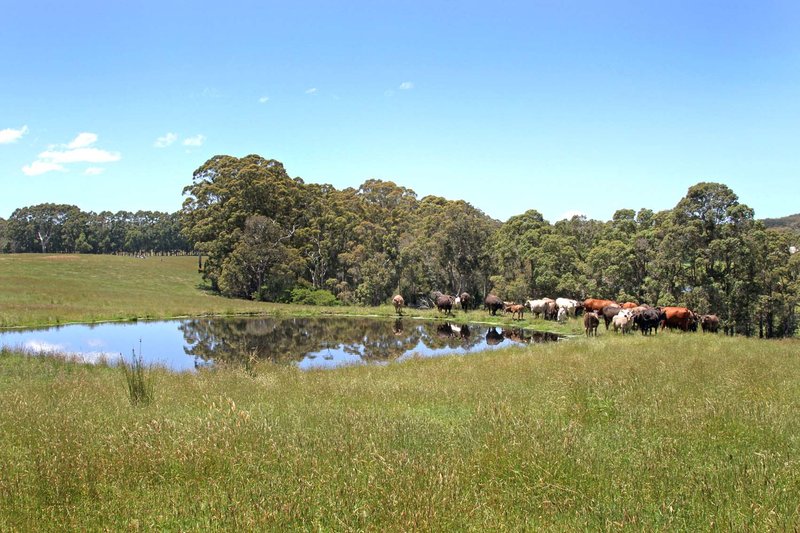 Photo - Lot 500 Roberts Road, Denmark WA 6333 - Image 16