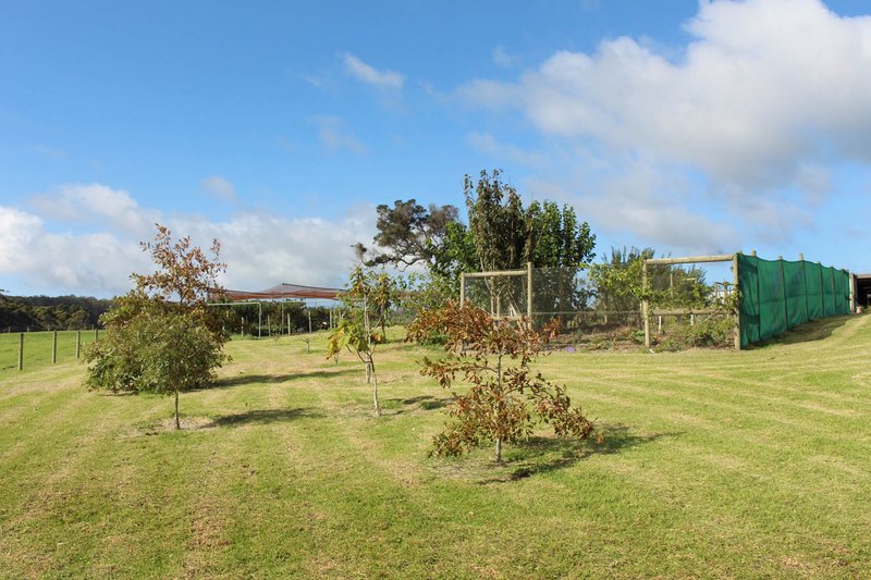 Photo - Lot 500 Roberts Road, Denmark WA 6333 - Image 17