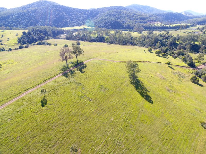 Photo - Lot 501 Callaghans Creek Road, Gloucester NSW 2422 - Image 4