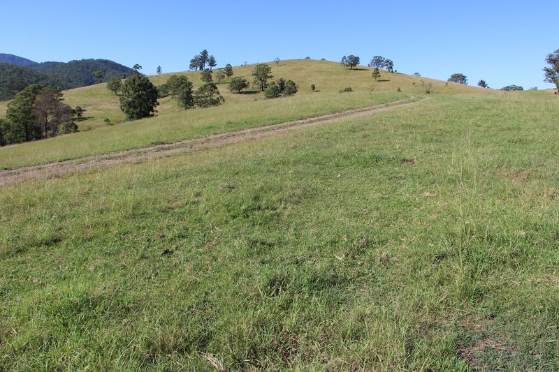 Photo - Lot 501 Callaghans Creek Road, Gloucester NSW 2422 - Image 11