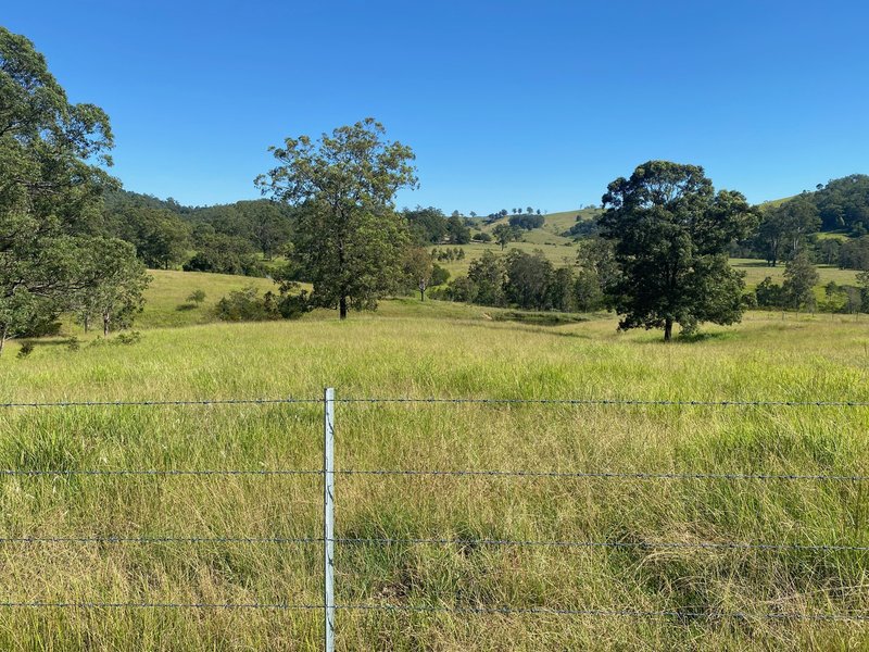 Photo - Lot 501 Callaghans Creek Road, Gloucester NSW 2422 - Image 18