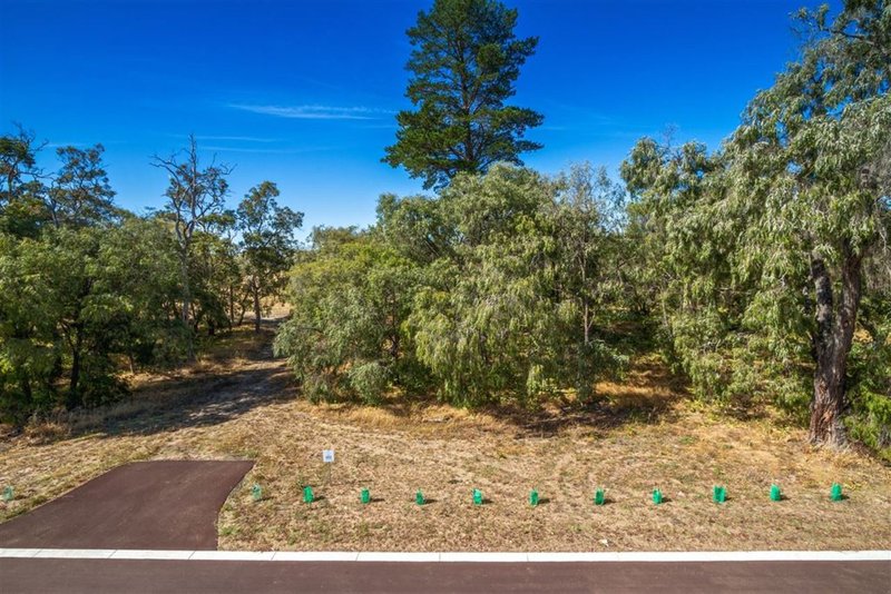 Lot 503 Drovers Road, Bovell WA 6280