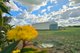 Photo - Lot 503/62 Daviesia Drive, Hopetoun WA 6348 - Image 11