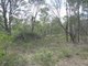 Photo - Lot 51 Bischoffs Road, Euleilah QLD 4674 - Image 4