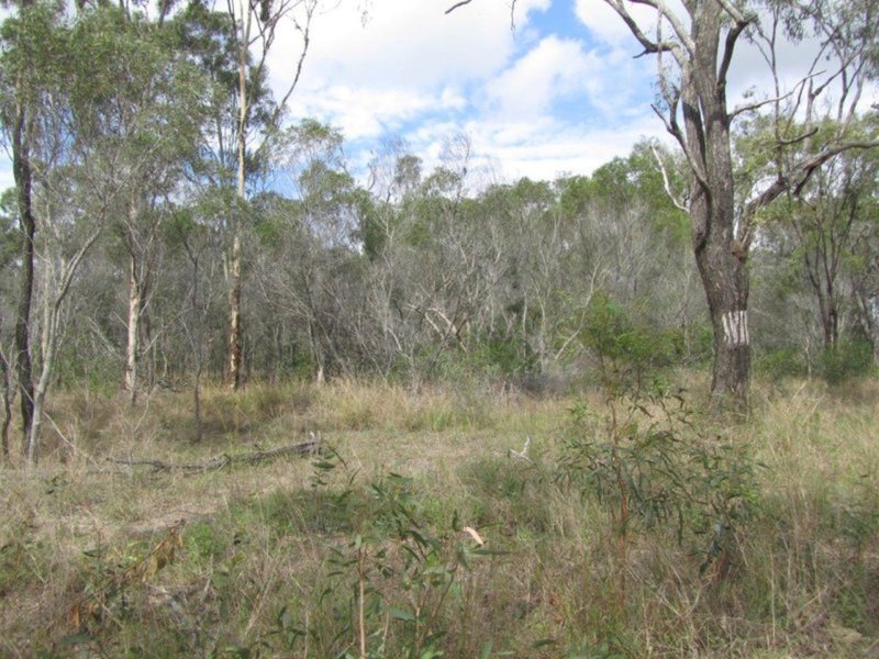 Photo - Lot 51 Bischoffs Road, Euleilah QLD 4674 - Image 5