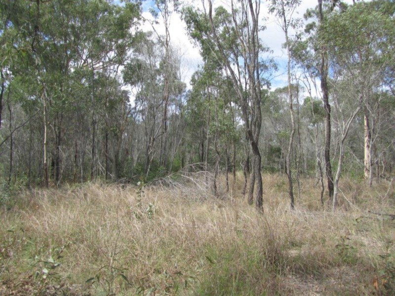 Photo - Lot 51 Bischoffs Road, Euleilah QLD 4674 - Image 6