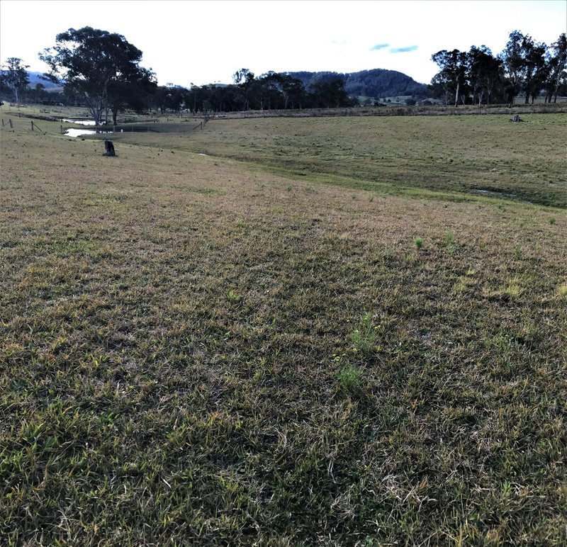 Photo - Lot 51 Peebles Street, Barrington NSW 2422 - Image 2