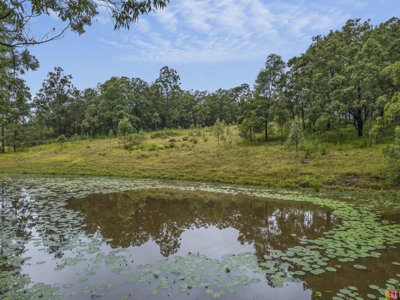 Photo - Lot 511 Anembo Lane, Temagog NSW 2440 - Image 1