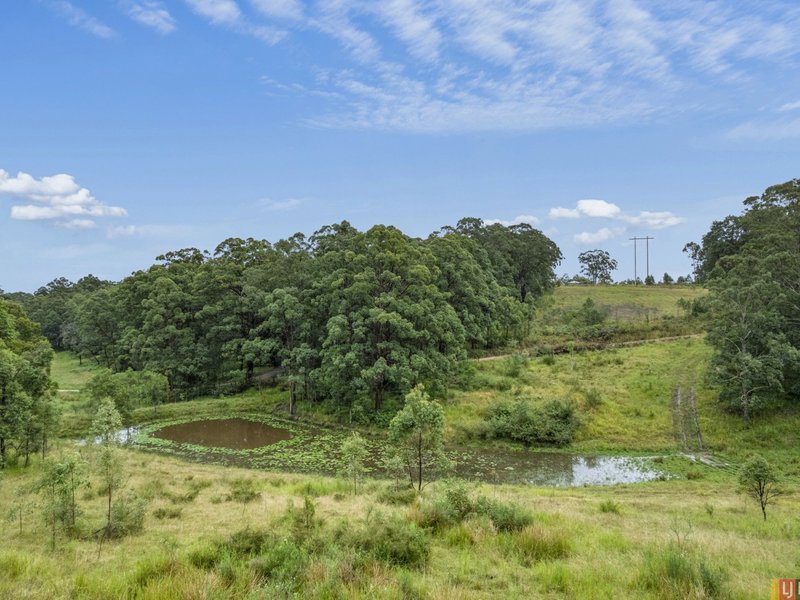 Photo - Lot 511 Anembo Lane, Temagog NSW 2440 - Image 3