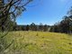 Photo - Lot 511 Anembo Lane, Temagog NSW 2440 - Image 9