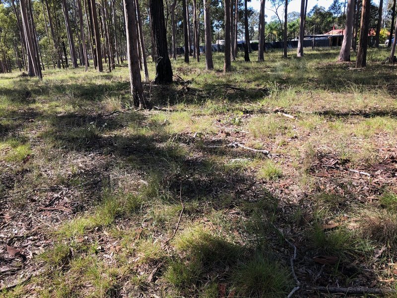 Lot 514 Wards Road, Glenwood QLD 4570