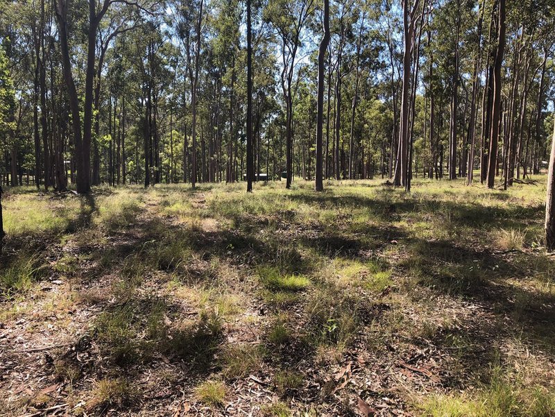 Photo - Lot 514 Wards Road, Glenwood QLD 4570 - Image 2