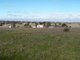 Photo - Lot 519 Carbarup Road, Kendenup WA 6323 - Image 3