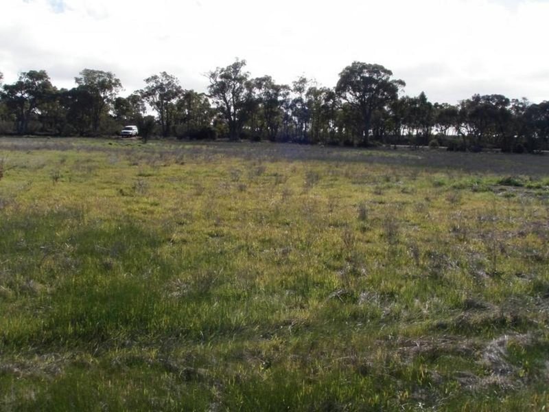 Photo - Lot 519 Carbarup Road, Kendenup WA 6323 - Image 4