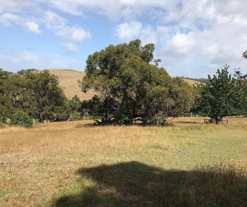 Lot 51c/140 Bolgers Road. , Devon North VIC 3971