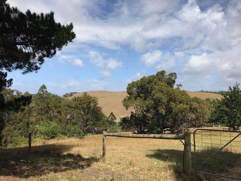 Photo - Lot 51c/140 Bolgers Road. , Devon North VIC 3971 - Image 2