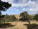 Photo - Lot 51c/140 Bolgers Road. , Devon North VIC 3971 - Image 2