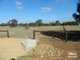 Photo - Lot 52 Arthur Road, Roseworthy SA 5371 - Image 3