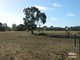 Photo - Lot 52 Arthur Road, Roseworthy SA 5371 - Image 9