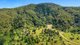 Photo - Lot 52 Curtis Road, Canungra QLD 4275 - Image 1