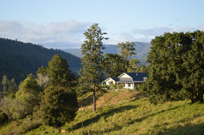 Photo - Lot 52 Curtis Road, Canungra QLD 4275 - Image 2